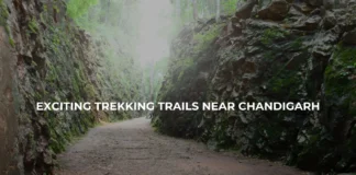 Best Trekking Places Near Chandigarh | Trekking near Chandigarh trekking places near chandigarh