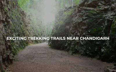 Exciting Trekking Trails Near Chandigarh