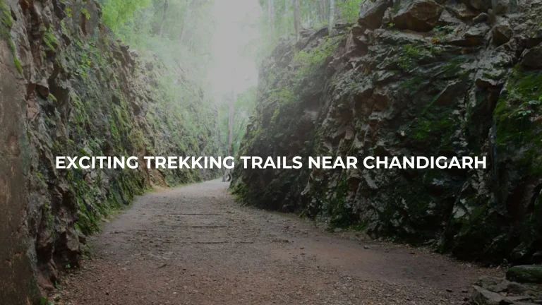 trekking places near chandigarh