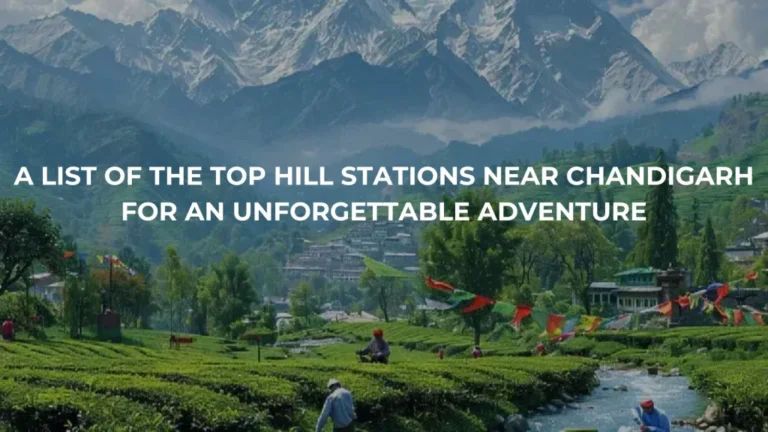 A List of the Top Hill Stations Near Chandigarh for an Unforgettable Adventure - Art & Culture in Chandigarh