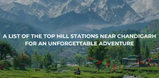 A List of the Top Hill Stations Near Chandigarh for an Unforgettable Adventure A List of the Top Hill Stations Near Chandigarh for an Unforgettable Adventure
