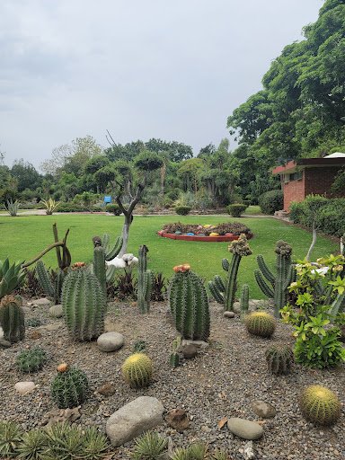 Cactus Garden, Chandigarh
