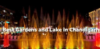 5 Best Places in Chandigarh for all Visitors Best Gardens and Lake in Chandigarh