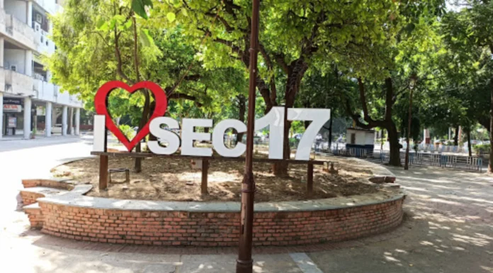 Best Time To Visit Sector 17 Market