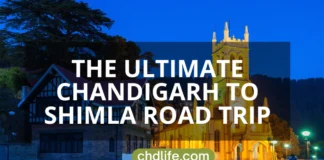 Chandigarh to Shimla distance by Road: Discovering Nature’s Magic