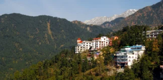 Chandigarh to Dharamshala: Distance, Routes & Travel Tips Chandigarh to Dharamshala