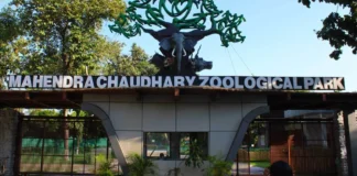 Chhatbir Zoo, Chandigarh, Zirakpur: Timings, Tickets, Location, Tariff Chhatbir Zoo