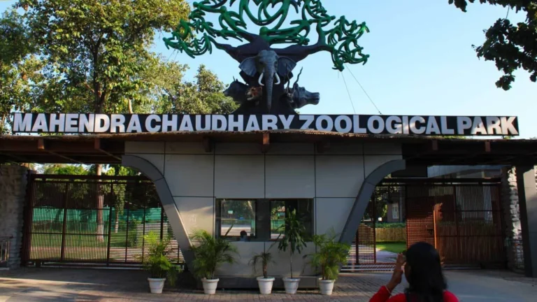 Chhatbir Zoo