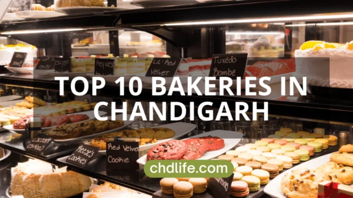 DON’T MISS OUT: THE TOP 10 BAKERIES IN CHANDIGARH YOU NEED TO TRY TODAY