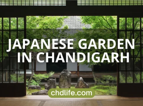JAPANESE GARDEN IN CHANDIGARH_ AN OASIS OF CALM IN THE CITY Explore the Serenity of Japanese Garden Chandigarh: A Tranquil Escape - Travel & Tourism in Chandigarh