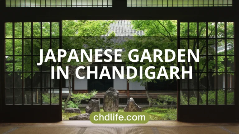 JAPANESE GARDEN IN CHANDIGARH