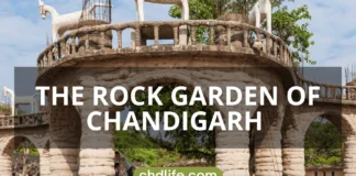 Exploring the Rock Garden Chandigarh: A Comprehensive Guide Rock Garden Chandigarh