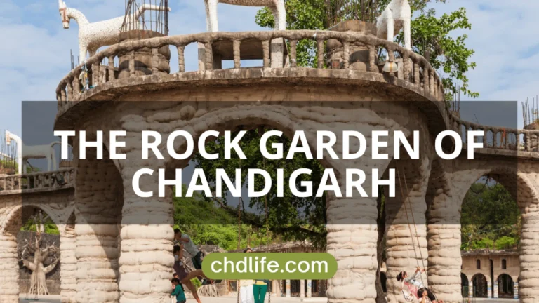 Rock Garden Chandigarh