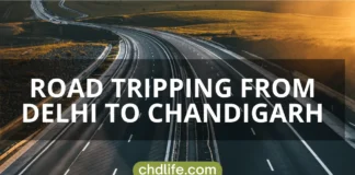 Road Tripping From Delhi To Chandigarh: An Ultimate Scenic Journey ROAD TRIPPING FROM DELHI TO CHANDIGARH: AN ULTIMATE SCENIC JOURNEY