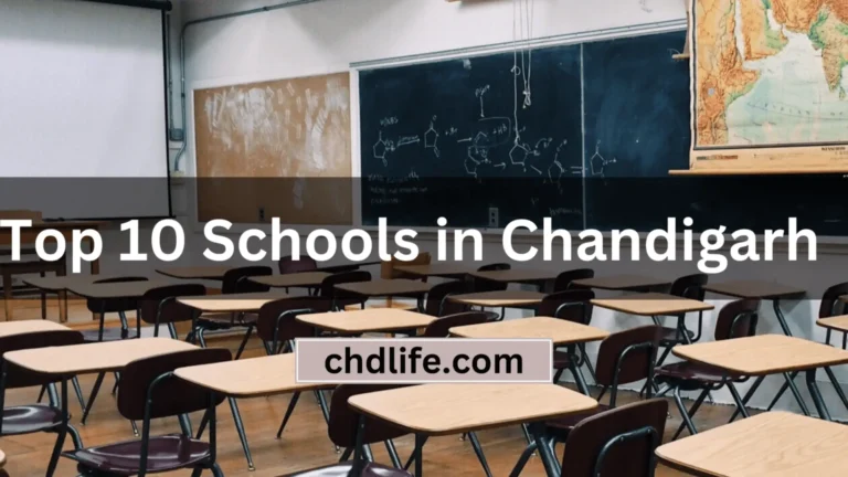 TOP 10 SCHOOLS IN CHANDIGARH YOU SHOULD CONSIDER