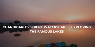 Chandigarh’s Serene Waterscapes: Exploring the Famous Lakes Chandigarh's Serene Waterscapes: Exploring the Famous Lakes