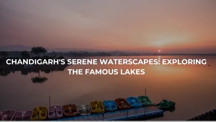Chandigarh's Serene Waterscapes: Exploring the Famous Lakes