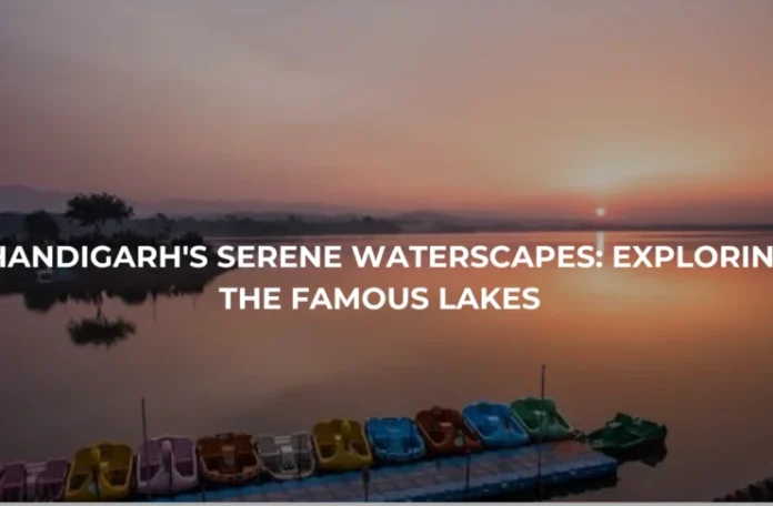 Chandigarh's Serene Waterscapes: Exploring the Famous Lakes - Art & Culture in Chandigarh