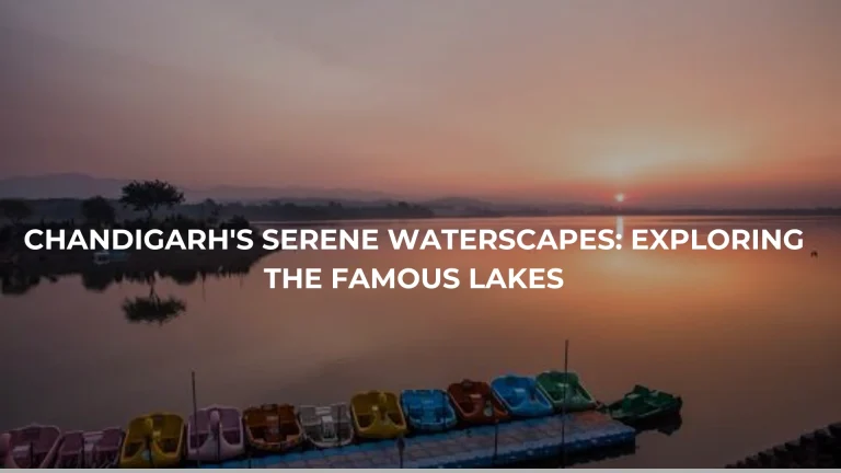 Chandigarh's Serene Waterscapes: Exploring the Famous Lakes