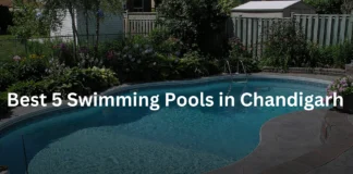 Best 5 Swimming Pools in Chandigarh Best 5 Swimming Pools in Chandigarh