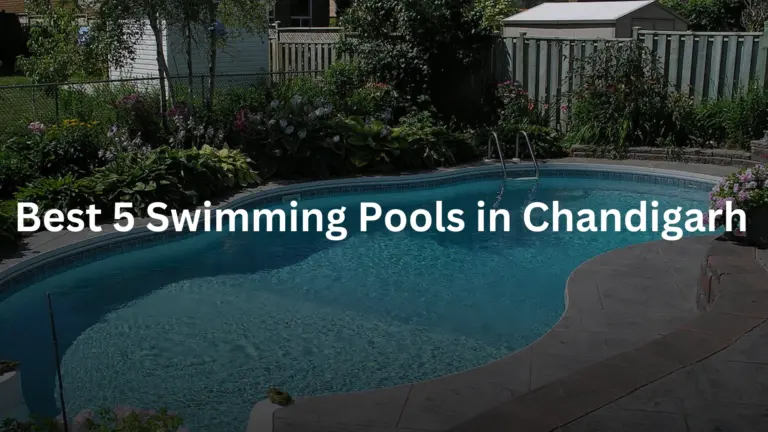 Best 5 Swimming Pools in Chandigarh