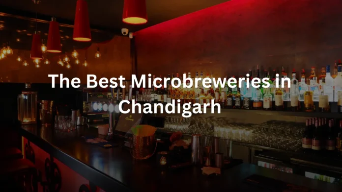 The Best Microbreweries in Chandigarh