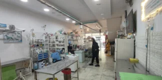 Best Vet in Chandigarh: How to Choose the Right One for Your Pet’s Health Best Vet in Chandigarh