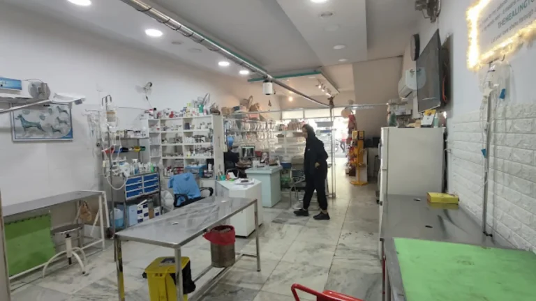 Best Vet in Chandigarh