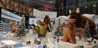 Elante Mall in Chandigarh: A Shopper’s Paradise Elante Mall in Chandigarh: A Shopper’s Paradise