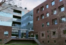 Top 6 It Companies In Chandigarh: Driving Innovation And Growth In The City 4 Net Solutions