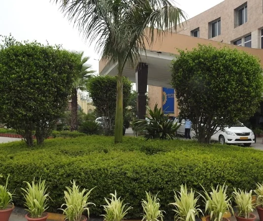 Velvet Clarks Exotica