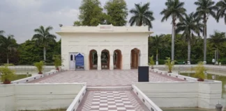 Springtime in Chandigarh: Exploring the City’s Best Blooms