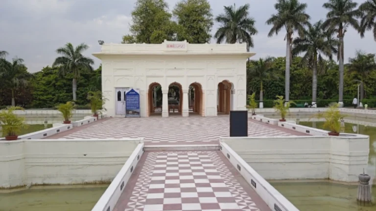 Springtime in Chandigarh: Exploring the City’s Best Blooms