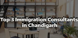 Top 3 Immigration Consultants in Chandigarh: Services & Fees Top 3 Immigration Consultants in Chandigarh