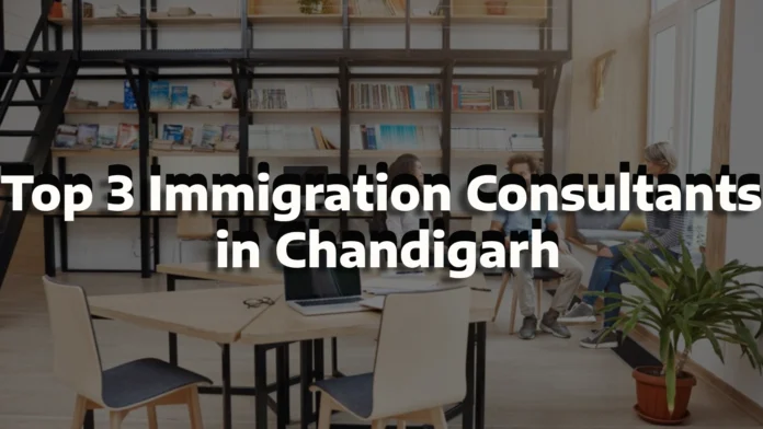 Top 3 Immigration Consultants in Chandigarh