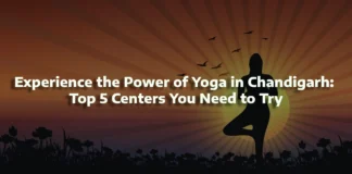 Experience the Power of Yoga in Chandigarh: Top 5 Centers You Need to Try Experience the Power of Yoga in Chandigarh: Top 5 Centers You Need to Try