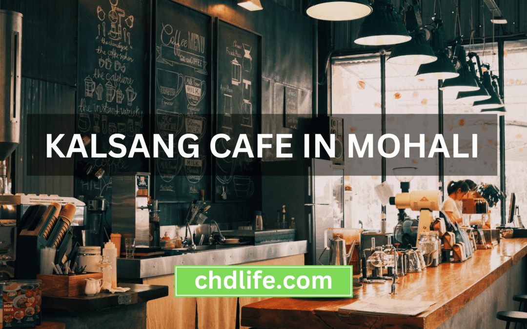 Satisfy Your Cravings at Kalsang Cafe – Mohali’s Best Kept Secret