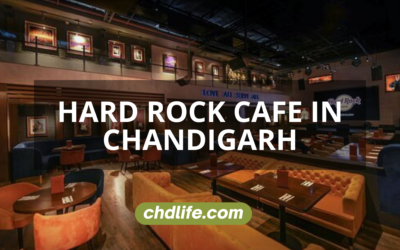 Hard Rock Cafe Chandigarh: Where Rock ‘n’ Roll Meets Exquisite Dining