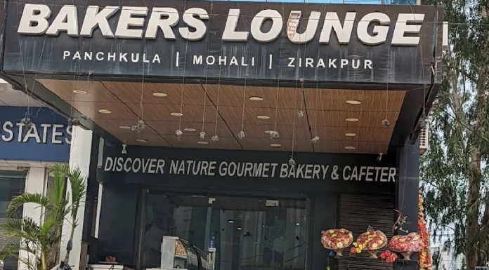 Best Cake Shops In Chandigarh: Exploring The Sweet Side Of Chandigarh 6 Baker'S Lounge: