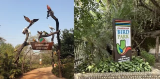 Bird Park Chandigarh Timings, Ticket prices: A Feathered Paradise Bird Park Chandigarh