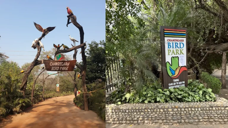 Bird Park Chandigarh