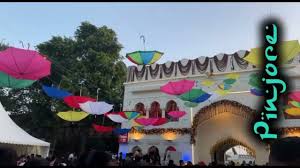 Vibrant Mango Mela at Yadavindra Gardens, Pinjore, Haryana