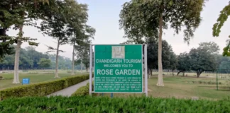 The Enchanting Rose Garden of Chandigarh: A Floral Wonderland Rose Garden Chandigarh