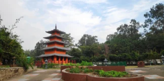 Explore the Serenity of Japanese Garden Chandigarh: A Tranquil Escape Japanese Garden Chandigarh