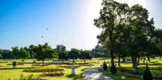 Exploring Leisure Valley Chandigarh: A Verdant Escape Leisure Valley Chandigarh