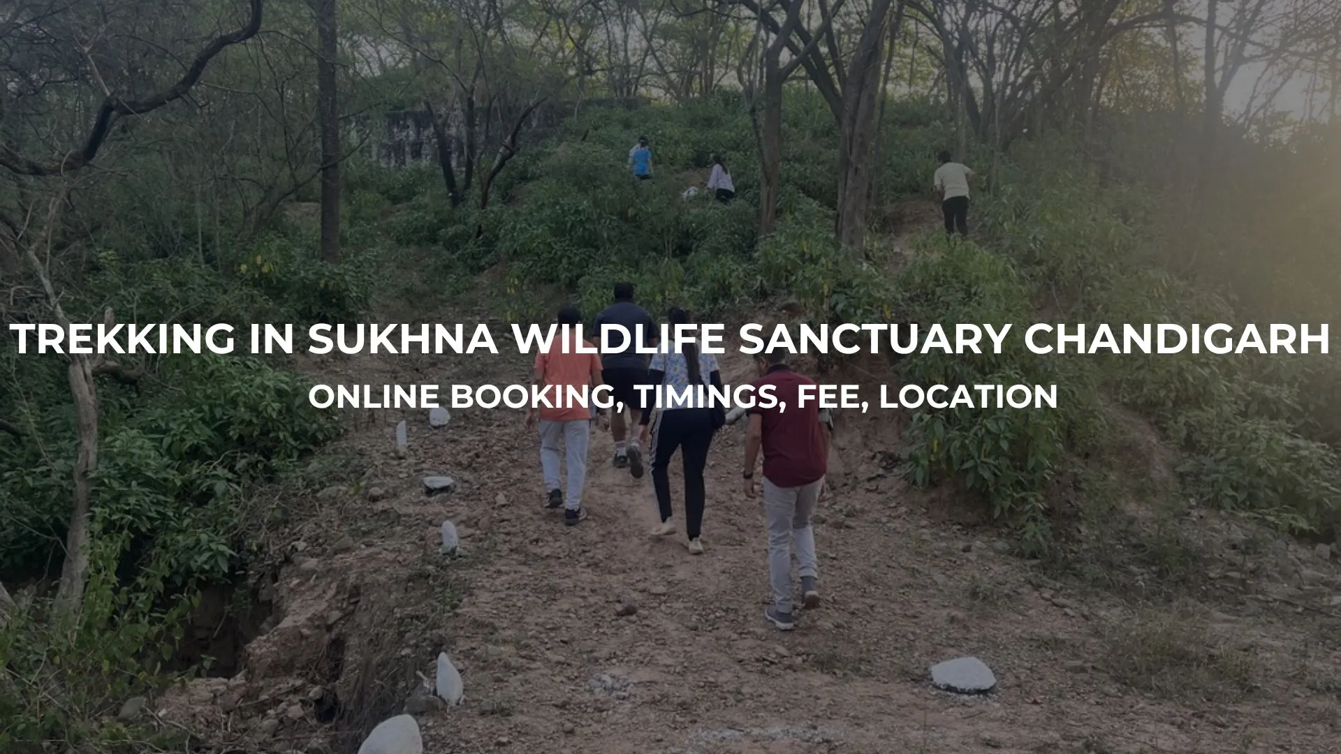 Trekking in Sukhna Wildlife Sanctuary Chandigarh Online booking, Timings, Fee, Location