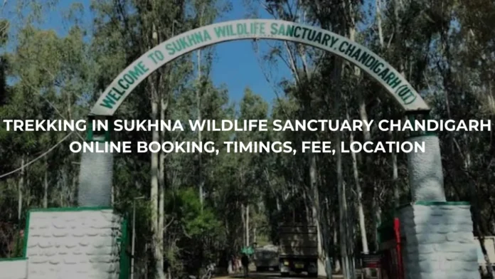 Trekking in Chandigarh