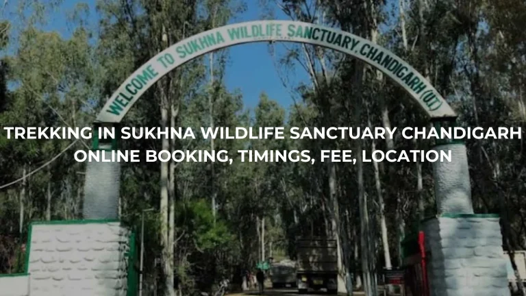 Trekking in Chandigarh