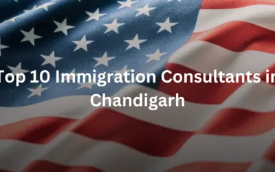 Top 10 Immigration Consultants in Chandigarh