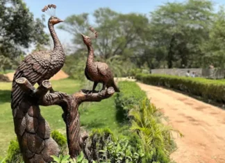Bird Park Chandigarh